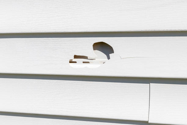Best Shed Removal  in Tama, IA
